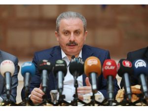 TBMM Anayasa Komisyonu Başkanı Şentop: