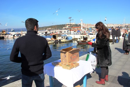Martıları Konya gevreği ile beslediler