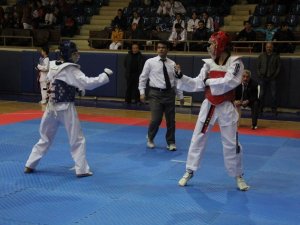 Analig Taekwondoda Finalistler Konya’da belirlendi