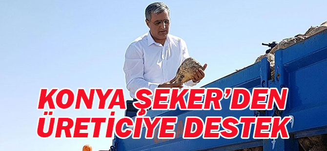 Konya Şeker Pancara 200 Lira Verdi, A Pancarı fiyatı primler dâhil 238,50 TL’yi Buldu
