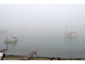 Düzce ve Sakarya'da yoğun sis