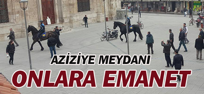 Aziziye Meydanı atlı zabıtalara emanet