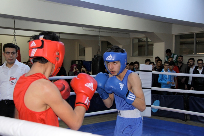 Okullarda gençler boks il birinciliği yapıldı