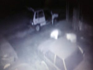 Teker hırsızları kameraya yakalandı