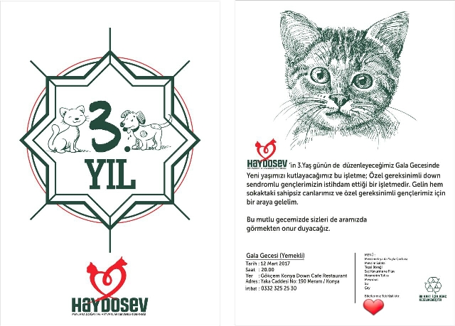 Haydosev 3. yaşını Downlularla kutluyor