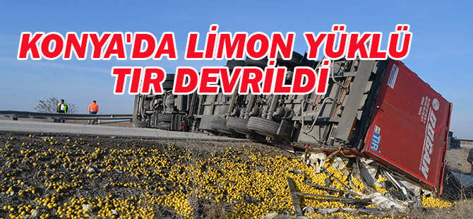 Limon yüklü tır devrildi: 1 yaralı