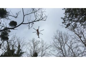 Bahçeköy'de ormanlık alanda yangın