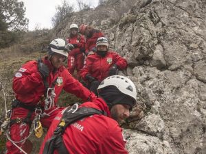Hamile keçi 3 saatlik operasyonla kurtarıldı