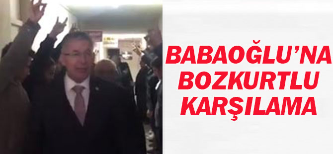 Babaoğlu'na Beyşehir'de bozkurtlu karşılama