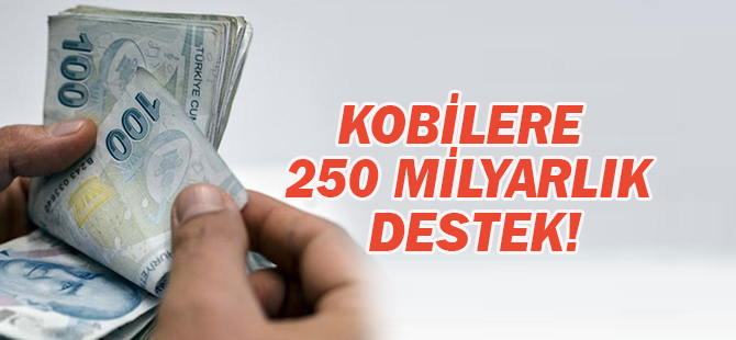 Kobilere 250 milyarlık destek!