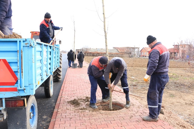 Karatay'dan yeşil hamle