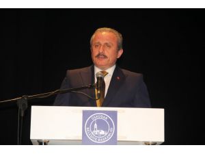 "Cumhurbaşkanlığı Hükümet Sistemi ve Kazanımları" paneli