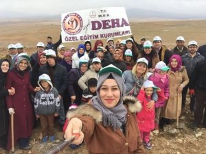 Bizim de bir fidanımız olsun