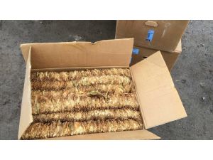 Sivas'ta kaçak tütün operasyonu