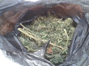 Ilgın'da uyuşturucu operasyonu