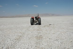 Göl kurudu, tad kaçtı