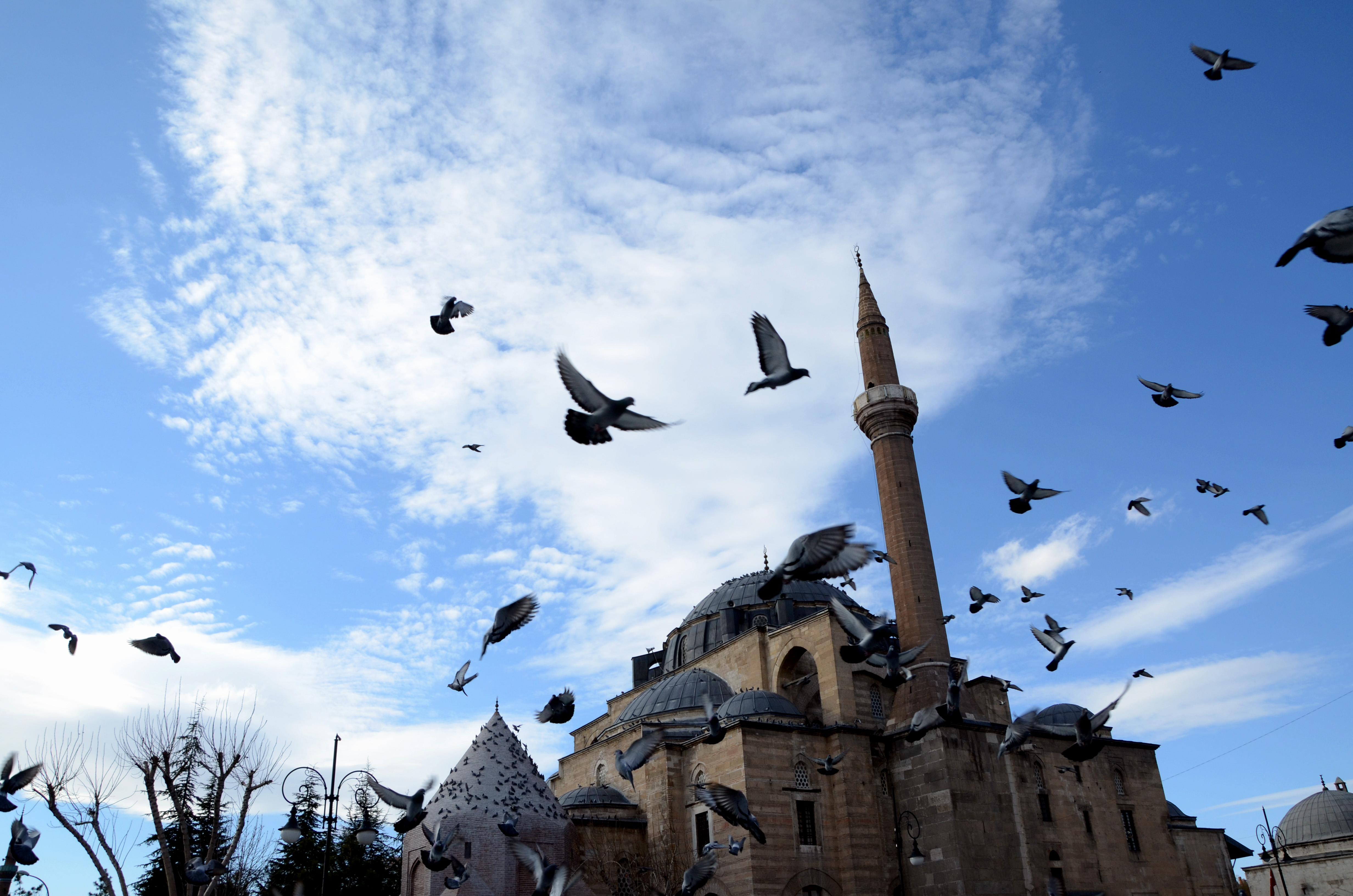 Kandil mesajları