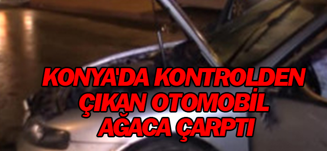 Kontrolden Çıkan Otomobil Ağaçlara Çarparak Durabildi
