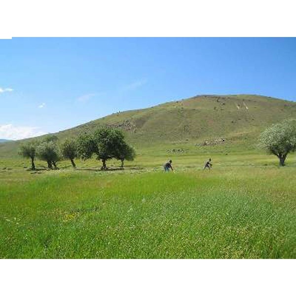 Milli Emlak'a ait 84 taşınmaz satılacak
