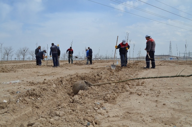 Karatay'da fidanlar toprakla buluştu