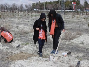 Karapınar'da fidan dikme programı