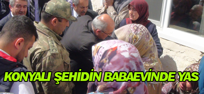 Şehit Astsubay Üstçavuş Ertürk'ün Babaevinde Hüzün Var