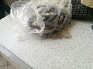 Beyşehir'de dilenci operasyonu