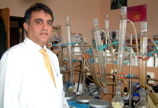 Çekirdeği meyvesinden daha faydalı