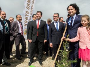 Hükümlüler, 15 Temmuz şehitleri için fidan dikiyor