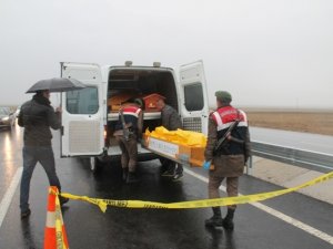 Konya’da kamyonun çarptığı işçi hayatını kaybetti