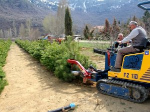 Seydişehir fidanlığına söküm makinesi alındı