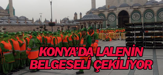Konya'da lalenin belgeseli çekiliyor