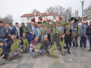 Karapınarda fidan dağıtımı