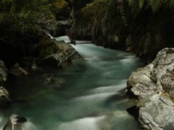 Kırk fotoğrafçıdan kırk fotoğraf