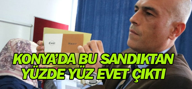 Beyşehir'de Bir Sandıktan Yüzde 100 "Evet" Çıktı