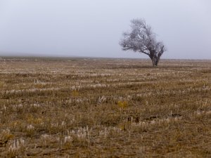Konya'da toplulaştırma çalışmaları