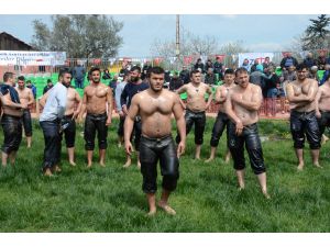 Altınova Belediyesi 3. Hersek Yağlı Güreşleri