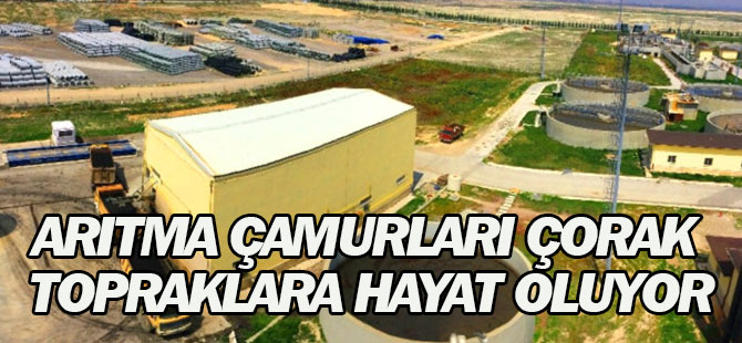 Arıtma Çamurları Çorak Topraklara Hayat Oluyor
