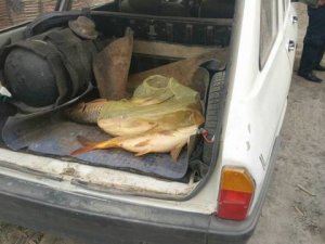 Beyşehir'de elektrik akımıyla balık avına 4 bin 650 lira ceza