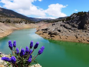 Toros'ların yaylaları  fotoğraf tutkunlarını ağırladı