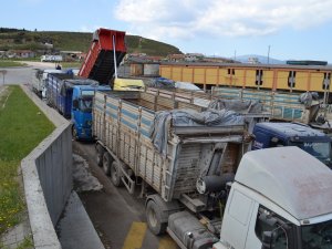 TMO'dan arpa fiyatlarına müdahale