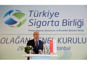 Başbakan Yardımcısı Şimşek: (1)