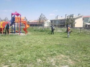 Baharın gelmesiyle park ve bahçeler hareketlendi