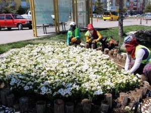 Seydişehir'de peyzaj çalışmaları
