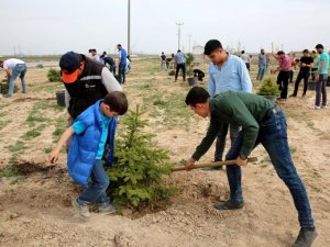 Sanayide çalışan gençler fidan dikti