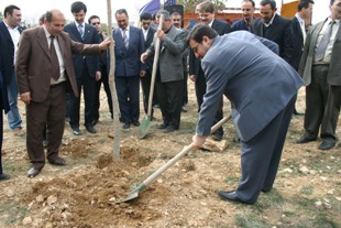 Ağaç Bayramında buluşalım