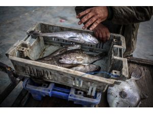 Gazzeli balıkçılar "avlanma mesafesinden" yakınıyor