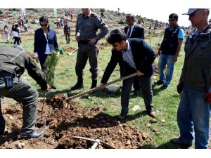 Seydişehir'den kısa kısa