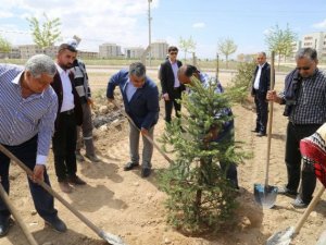 Özgüven: Ereğli sevdalılarının yanındayız