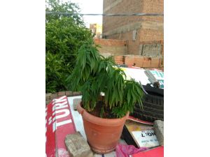 Okulun tribün korkulukları yıkıldı: 5 öğrenci yaralı